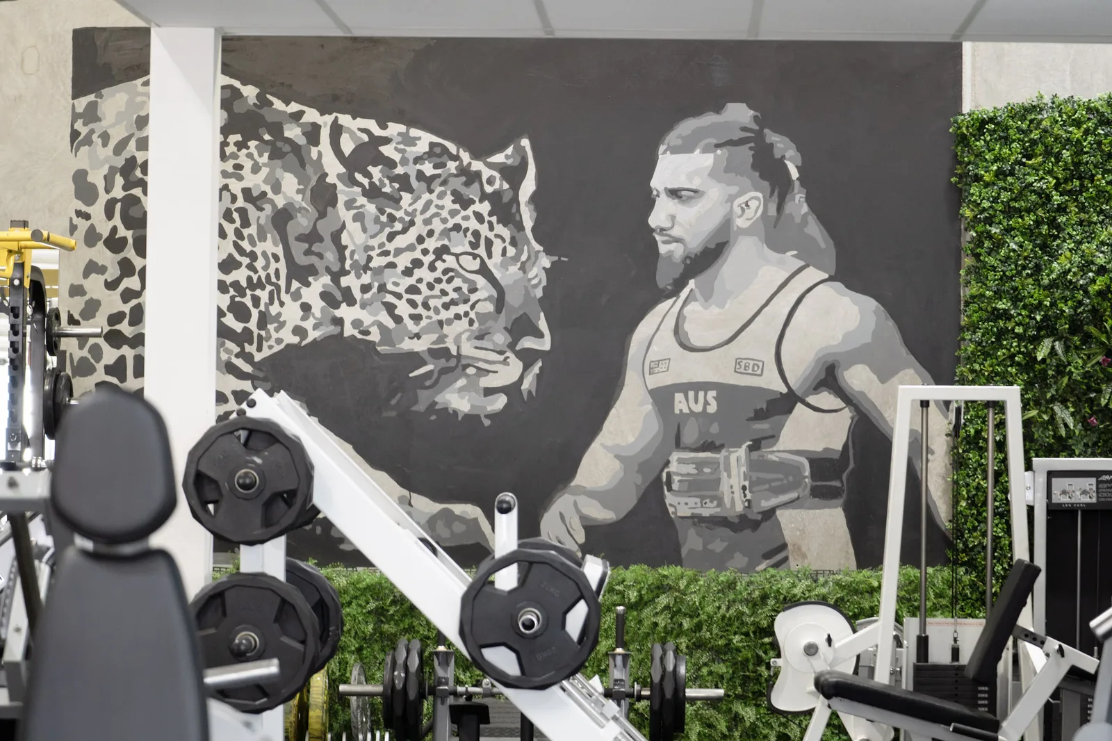 Gym Wall.jpg