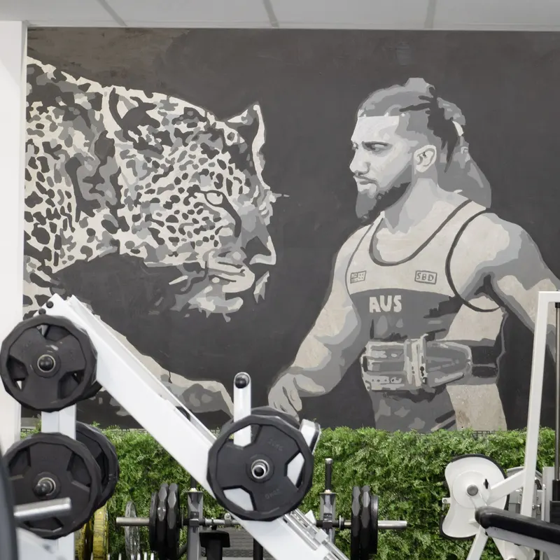 Leopard mural on the Kaos Fitness gym wall